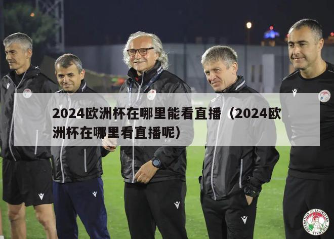 2024欧洲杯在哪里能看直播（2024欧洲杯在哪里看直播呢）