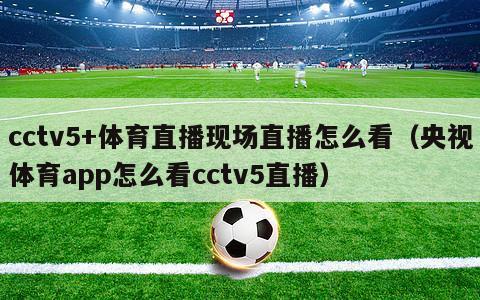 cctv5+体育直播现场直播怎么看（央视体育app怎么看cctv5直播）