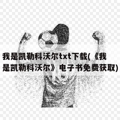 我是凯勒科沃尔txt下载(《我是凯勒科沃尔》电子书免费获取)