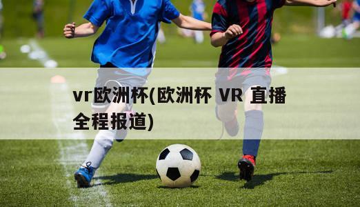 vr欧洲杯(欧洲杯 VR 直播全程报道)