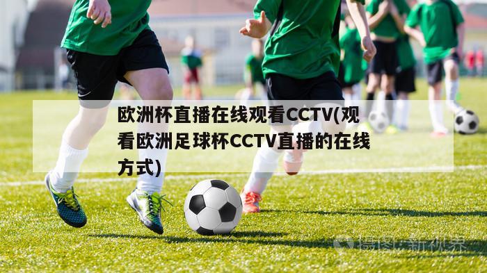 欧洲杯直播在线观看CCTV(观看欧洲足球杯CCTV直播的在线方式)